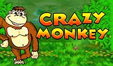 crazy monkey crazy monkey