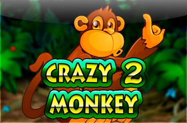 CRAZY MONKEY 2 CRAZY MONKEY 2