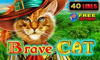 Brave Cat
