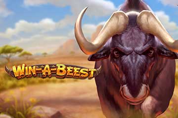 Win a Beest Win a Beest